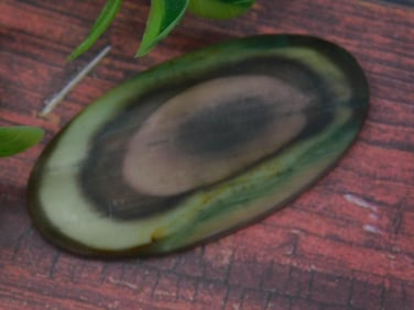 Polished Oval Rock Specimen with Unique Patterns