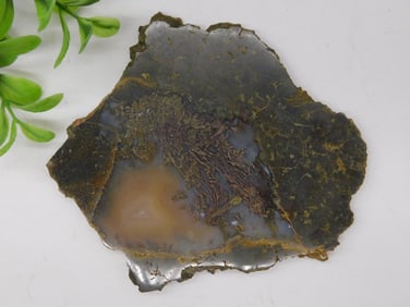 Polished Agate Slice with Unique Pattern