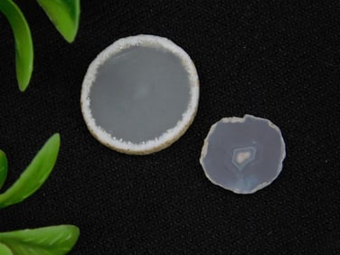 Set of Two Agate Slices for Auction