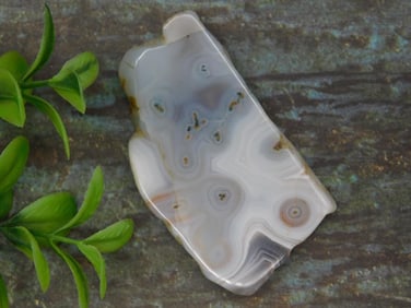 Polished Agate Slab With Layered Banding