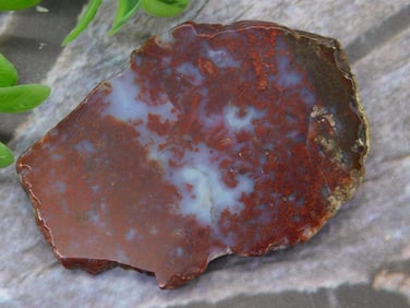 Polished Agate Specimen with Brown and Blue Colors