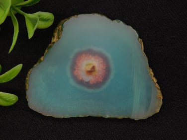 Polished FISHER STONE Slice With Central Pattern