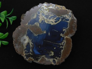 THUNDER EGG GEODE ROCK STONE LAPIDARY SPECIMEN