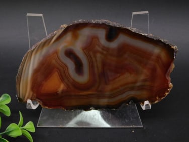 AGATE SLICE ROCK STONE LAPIDARY SPECIMEN