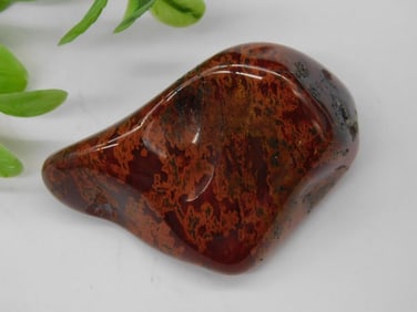 RED AGATE ROCK STONE LAPIDARY SPECIMEN