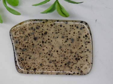 ROCK STONE LAPIDARY SPECIMEN