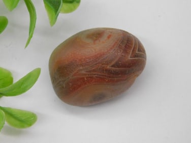AGATE ROCK STONE LAPIDARY SPECIMEN
