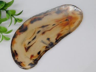 AGATE SLICE ROCK STONE LAPIDARY SPECIMEN