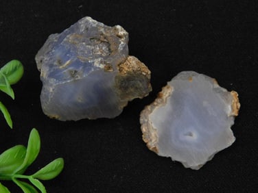 ELLENSBURG AGATE ROCK STONE LAPIDARY SPECIMEN