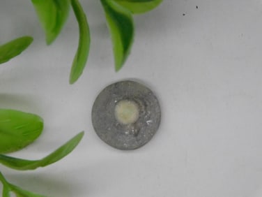 ROCK STONE LAPIDARY SPECIMEN