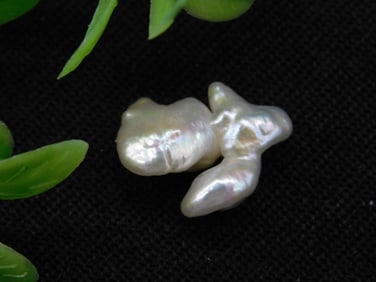 FRESHWATER PEARL ROCK STONE LAPIDARY SPECIMEN