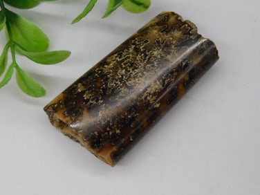 AMMONITE BACULITE ROCK STONE LAPIDARY SPECIMEN