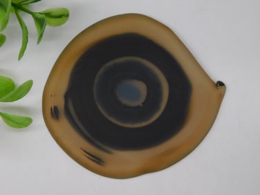 AGATE SLICE ROCK STONE LAPIDARY SPECIMEN