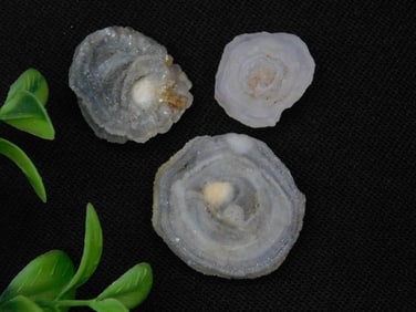 DRUZY CHALCEDONY ROSETTES ROCK STONE LAPIDARY SPECIMEN