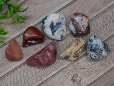 TUMBLED AGATES ROCK STONE LAPIDARY SPECIMEN