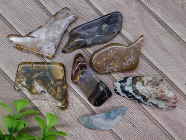 TUMBLED AGATES ROCK STONE LAPIDARY SPECIMEN