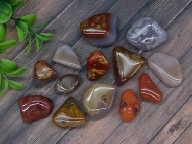 TUMBLED AGATES ROCK STONE LAPIDARY SPECIMEN