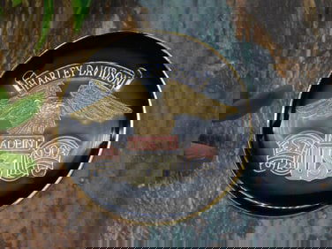 HARLEY DAVIDSON CABOCHON MEDALLION