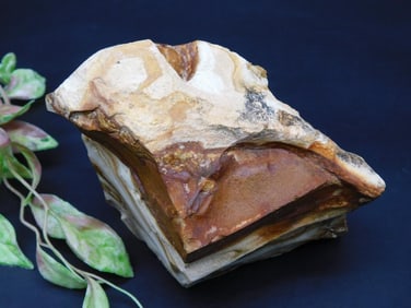 JASPER ROCK STONE LAPIDARY SPECIMEN