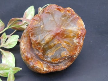 Agate Rock Stone Lapidary Specimen