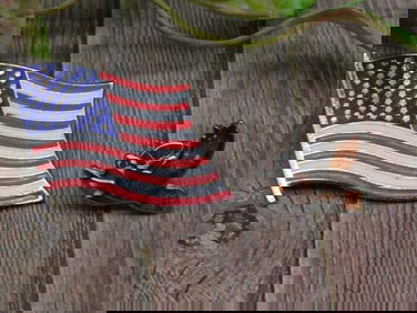 American Flag and Eagle Lapel Pins Set