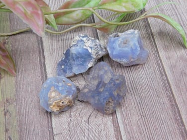Ellensburg Agate Rock Stone Lapidary Specimen