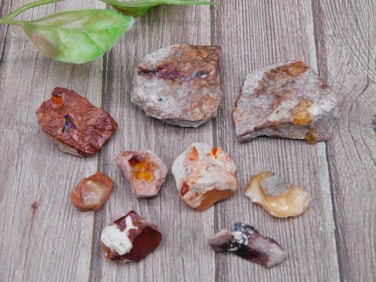 Collection of Raw Amber Rocks Weighing 28 Grams