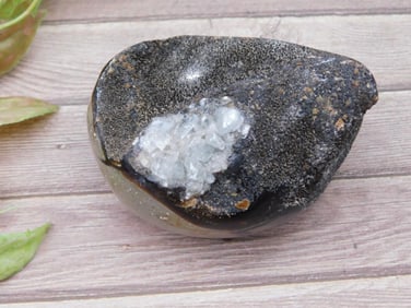 Septarian Dragon Egg Rock Stone Lapidary Specimen