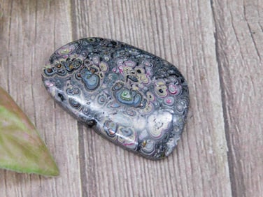 Fordite Motor City Agate Rock Stone Lapidary Specimen