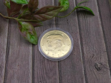 Donald Trump 2024 Commemorative Coin in Capsule