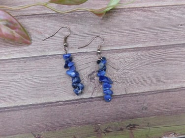 Blue Stone Dangle Earrings