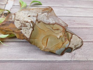 Jasper Rock Stone Lapidary Specimen