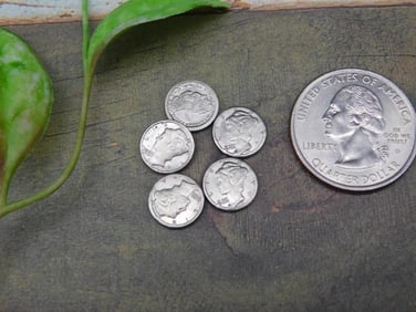 Lot of 5 Mini Coins