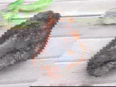 Iron-Like Rock Specimen Weighing 246 Grams
