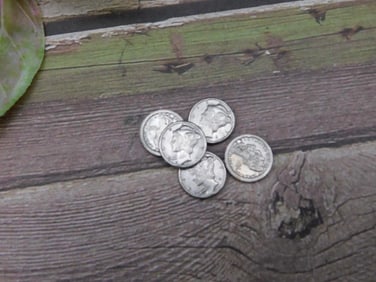 Five Mini Coins
