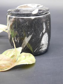 Orthoceras Trinket Box