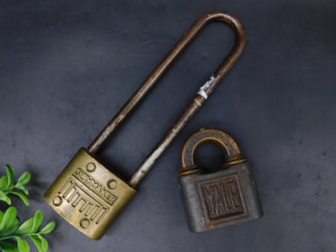 Pair of Brass Locks With Different Designs