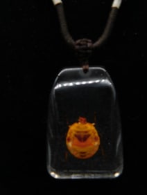 Resin Pendant Necklace With Encased Insect Design