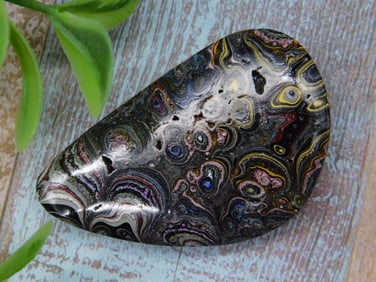 Polished Fordite Motor City Agate Specimen