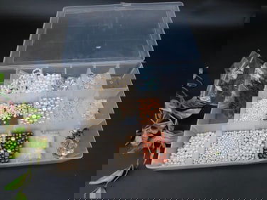 Assorted Beads in Plastic Organizer Box