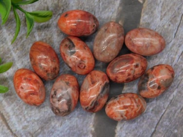 Set of 12 Polished Red and Gray Stone Ovals