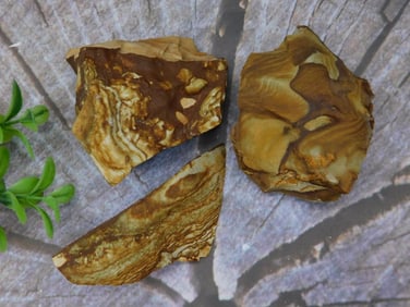 Jasper Rock Stone Lapidary Specimen