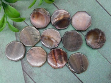 Set of 12 Octagon Shaped Shell Tokens