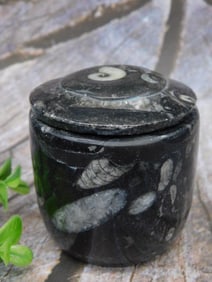 Orthoceras Trinket Box