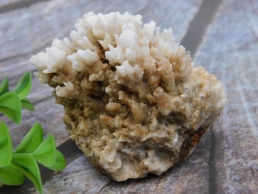Mineral Rock Cluster With White Crystals