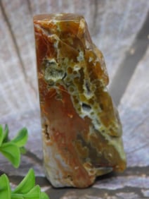 Polished Multi-Toned Rock Specimen
