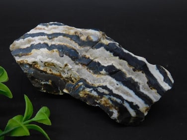 Zebra Stone Specimen Weighing 195 Grams Rock Stone Lapidary Specimen