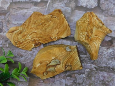 Jasper Rock Stone Lapidary Specimen