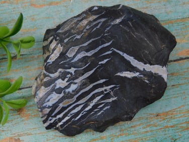 Black and White Striped Rock Specimen (197 Grams) Rock Stone Lapidary Specimen