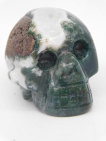 Tree Agate Stone Carved Skull Figurine ROCK STONE LAPIDARY SPECIMEN